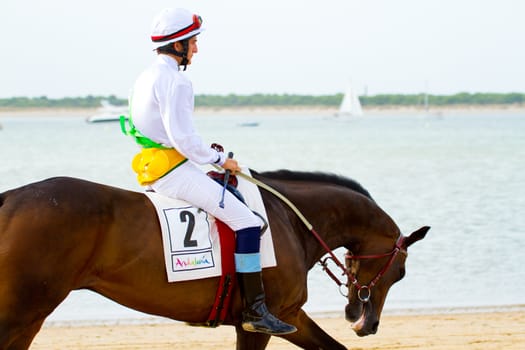 SANLUCAR DE BARRAMEDA, CADIZ, SPAIN - AUGUST 11: Unidentified rider at the start of race horses on Sanlucar de Barrameda beach on August 11, 2011 in Sanlucar de Barrameda, Cadiz, Spain.