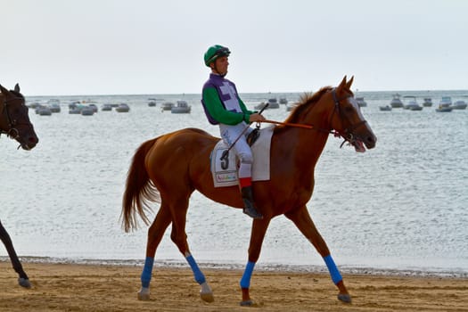 SANLUCAR DE BARRAMEDA, CADIZ, SPAIN - AUGUST 11: Unidentified rider at the start of race horses on Sanlucar de Barrameda beach on August 11, 2011 in Sanlucar de Barrameda, Cadiz, Spain.