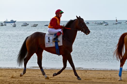SANLUCAR DE BARRAMEDA, CADIZ, SPAIN - AUGUST 11: Unidentified rider at the start of race horses on Sanlucar de Barrameda beach on August 11, 2011 in Sanlucar de Barrameda, Cadiz, Spain.