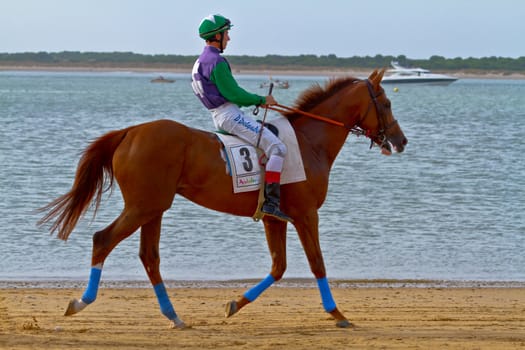 SANLUCAR DE BARRAMEDA, CADIZ, SPAIN - AUGUST 11: Unidentified rider at the start of race horses on Sanlucar de Barrameda beach on August 11, 2011 in Sanlucar de Barrameda, Cadiz, Spain.