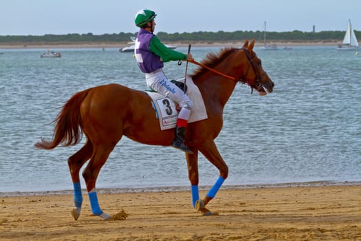 SANLUCAR DE BARRAMEDA, CADIZ, SPAIN - AUGUST 11: Unidentified rider at the start of race horses on Sanlucar de Barrameda beach on August 11, 2011 in Sanlucar de Barrameda, Cadiz, Spain.
