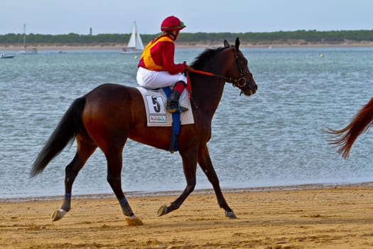 SANLUCAR DE BARRAMEDA, CADIZ, SPAIN - AUGUST 11: Unidentified rider at the start of race horses on Sanlucar de Barrameda beach on August 11, 2011 in Sanlucar de Barrameda, Cadiz, Spain.