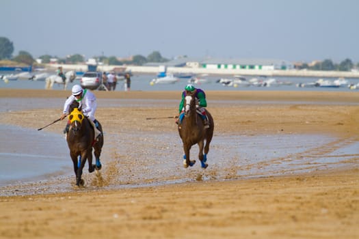 SANLUCAR DE BARRAMEDA, CADIZ, SPAIN - AUGUST 11: Unidentified rider at the start of race horses on Sanlucar de Barrameda beach on August 11, 2011 in Sanlucar de Barrameda, Cadiz, Spain.