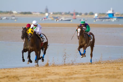 SANLUCAR DE BARRAMEDA, CADIZ, SPAIN - AUGUST 11: Unidentified rider at the start of race horses on Sanlucar de Barrameda beach on August 11, 2011 in Sanlucar de Barrameda, Cadiz, Spain.