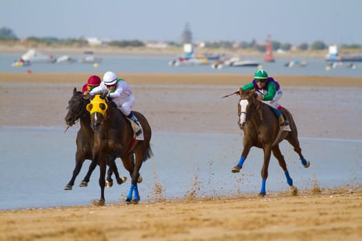 SANLUCAR DE BARRAMEDA, CADIZ, SPAIN - AUGUST 11: Unidentified rider at the start of race horses on Sanlucar de Barrameda beach on August 11, 2011 in Sanlucar de Barrameda, Cadiz, Spain.