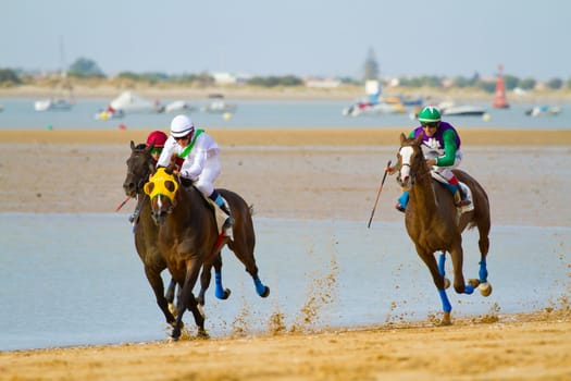 SANLUCAR DE BARRAMEDA, CADIZ, SPAIN - AUGUST 11: Unidentified rider at the start of race horses on Sanlucar de Barrameda beach on August 11, 2011 in Sanlucar de Barrameda, Cadiz, Spain.