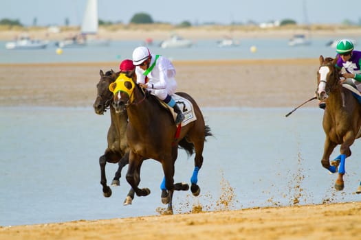 SANLUCAR DE BARRAMEDA, CADIZ, SPAIN - AUGUST 11: Unidentified rider at the start of race horses on Sanlucar de Barrameda beach on August 11, 2011 in Sanlucar de Barrameda, Cadiz, Spain.