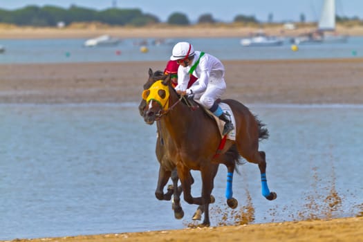 SANLUCAR DE BARRAMEDA, CADIZ, SPAIN - AUGUST 11: Unidentified rider at the start of race horses on Sanlucar de Barrameda beach on August 11, 2011 in Sanlucar de Barrameda, Cadiz, Spain.