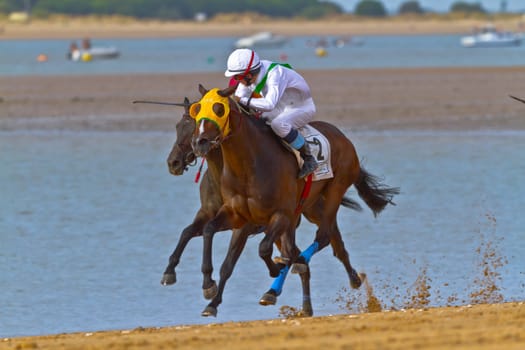 SANLUCAR DE BARRAMEDA, CADIZ, SPAIN - AUGUST 11: Unidentified rider at the start of race horses on Sanlucar de Barrameda beach on August 11, 2011 in Sanlucar de Barrameda, Cadiz, Spain.