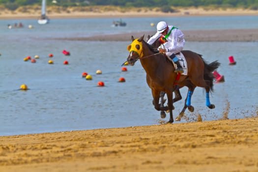 SANLUCAR DE BARRAMEDA, CADIZ, SPAIN - AUGUST 11: Unidentified rider at the start of race horses on Sanlucar de Barrameda beach on August 11, 2011 in Sanlucar de Barrameda, Cadiz, Spain.