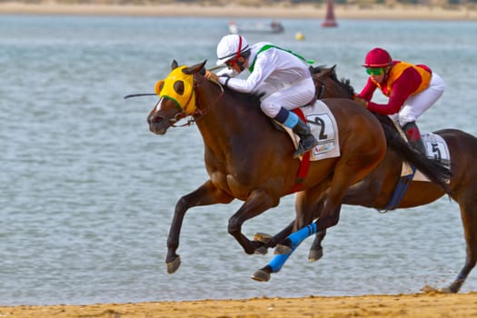 SANLUCAR DE BARRAMEDA, CADIZ, SPAIN - AUGUST 11: Unidentified rider at the start of race horses on Sanlucar de Barrameda beach on August 11, 2011 in Sanlucar de Barrameda, Cadiz, Spain.