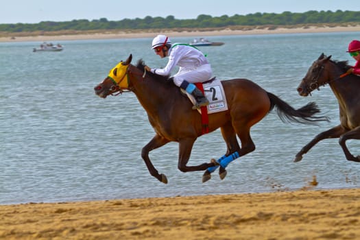 SANLUCAR DE BARRAMEDA, CADIZ, SPAIN - AUGUST 11: Unidentified rider at the start of race horses on Sanlucar de Barrameda beach on August 11, 2011 in Sanlucar de Barrameda, Cadiz, Spain.