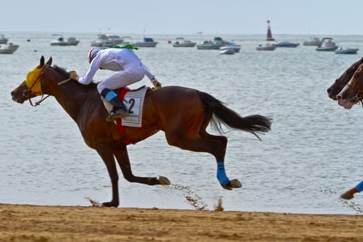 SANLUCAR DE BARRAMEDA, CADIZ, SPAIN - AUGUST 11: Unidentified rider at the start of race horses on Sanlucar de Barrameda beach on August 11, 2011 in Sanlucar de Barrameda, Cadiz, Spain.