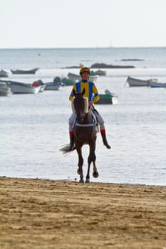 SANLUCAR DE BARRAMEDA, CADIZ, SPAIN - AUGUST 11: Unidentified rider at the start of race horses on Sanlucar de Barrameda beach on August 11, 2011 in Sanlucar de Barrameda, Cadiz, Spain.