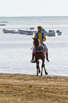 SANLUCAR DE BARRAMEDA, CADIZ, SPAIN - AUGUST 11: Unidentified rider at the start of race horses on Sanlucar de Barrameda beach on August 11, 2011 in Sanlucar de Barrameda, Cadiz, Spain.