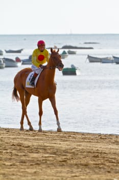 SANLUCAR DE BARRAMEDA, CADIZ, SPAIN - AUGUST 11: Unidentified rider at the start of race horses on Sanlucar de Barrameda beach on August 11, 2011 in Sanlucar de Barrameda, Cadiz, Spain.