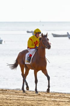 SANLUCAR DE BARRAMEDA, CADIZ, SPAIN - AUGUST 11: Unidentified rider at the start of race horses on Sanlucar de Barrameda beach on August 11, 2011 in Sanlucar de Barrameda, Cadiz, Spain.