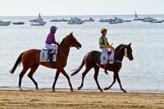 SANLUCAR DE BARRAMEDA, CADIZ, SPAIN - AUGUST 11: Unidentified rider at the start of race horses on Sanlucar de Barrameda beach on August 11, 2011 in Sanlucar de Barrameda, Cadiz, Spain.