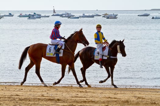 SANLUCAR DE BARRAMEDA, CADIZ, SPAIN - AUGUST 11: Unidentified rider at the start of race horses on Sanlucar de Barrameda beach on August 11, 2011 in Sanlucar de Barrameda, Cadiz, Spain.