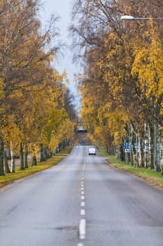 Colorfull Alley at Autumn