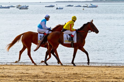 SANLUCAR DE BARRAMEDA, CADIZ, SPAIN - AUGUST 11: Unidentified rider at the start of race horses on Sanlucar de Barrameda beach on August 11, 2011 in Sanlucar de Barrameda, Cadiz, Spain.