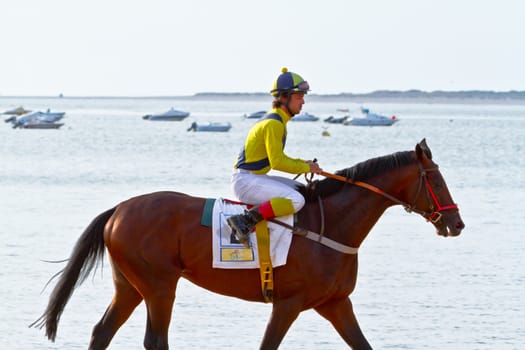 SANLUCAR DE BARRAMEDA, CADIZ, SPAIN - AUGUST 11: Unidentified rider at the start of race horses on Sanlucar de Barrameda beach on August 11, 2011 in Sanlucar de Barrameda, Cadiz, Spain.