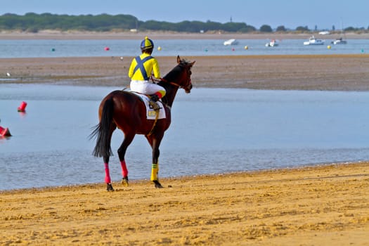 SANLUCAR DE BARRAMEDA, CADIZ, SPAIN - AUGUST 11: Unidentified rider at the start of race horses on Sanlucar de Barrameda beach on August 11, 2011 in Sanlucar de Barrameda, Cadiz, Spain.