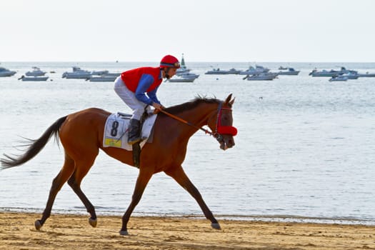 SANLUCAR DE BARRAMEDA, CADIZ, SPAIN - AUGUST 11: Unidentified rider at the start of race horses on Sanlucar de Barrameda beach on August 11, 2011 in Sanlucar de Barrameda, Cadiz, Spain.