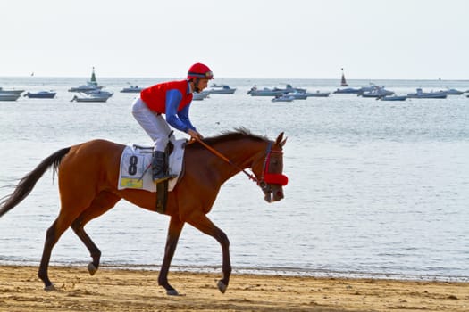 SANLUCAR DE BARRAMEDA, CADIZ, SPAIN - AUGUST 11: Unidentified rider at the start of race horses on Sanlucar de Barrameda beach on August 11, 2011 in Sanlucar de Barrameda, Cadiz, Spain.