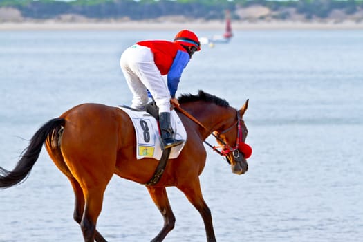 SANLUCAR DE BARRAMEDA, CADIZ, SPAIN - AUGUST 11: Unidentified rider at the start of race horses on Sanlucar de Barrameda beach on August 11, 2011 in Sanlucar de Barrameda, Cadiz, Spain.