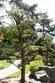 Gardens in traditional Japanese style, can be found at private homes, in neighborhood or city parks, and at historical landmarks such as Buddhist temples and old castles.