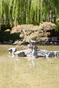 Gardens in traditional Japanese style, can be found at private homes, in neighborhood or city parks, and at historical landmarks such as Buddhist temples and old castles.