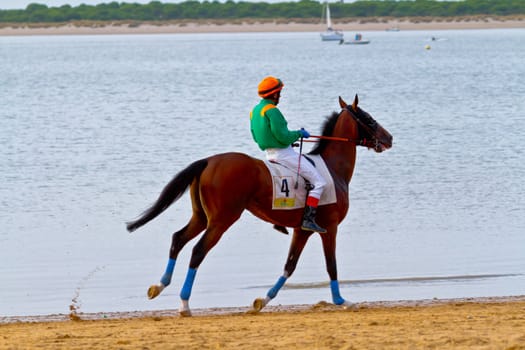 SANLUCAR DE BARRAMEDA, CADIZ, SPAIN - AUGUST 11: Unidentified rider at the start of race horses on Sanlucar de Barrameda beach on August 11, 2011 in Sanlucar de Barrameda, Cadiz, Spain.