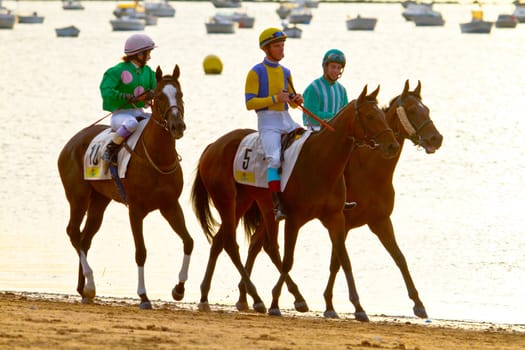 SANLUCAR DE BARRAMEDA, CADIZ, SPAIN - AUGUST 11: Unidentified rider at the start of race horses on Sanlucar de Barrameda beach on August 11, 2011 in Sanlucar de Barrameda, Cadiz, Spain.