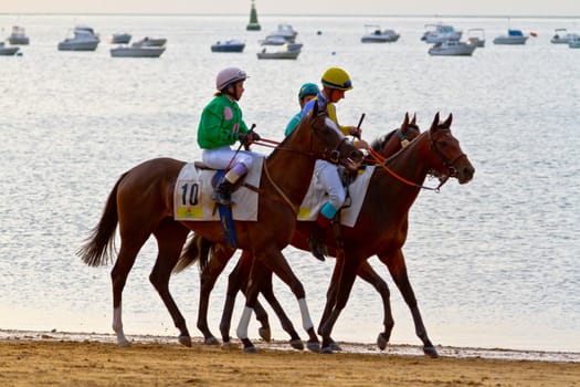 SANLUCAR DE BARRAMEDA, CADIZ, SPAIN - AUGUST 11: Unidentified rider at the start of race horses on Sanlucar de Barrameda beach on August 11, 2011 in Sanlucar de Barrameda, Cadiz, Spain.