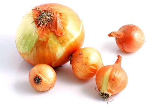 Image series of fresh vegetables on white background - onion