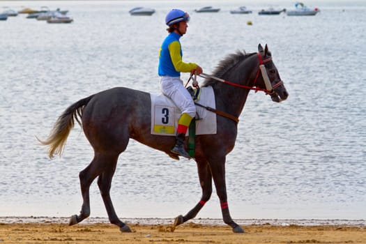 SANLUCAR DE BARRAMEDA, CADIZ, SPAIN - AUGUST 11: Unidentified rider at the start of race horses on Sanlucar de Barrameda beach on August 11, 2011 in Sanlucar de Barrameda, Cadiz, Spain.
