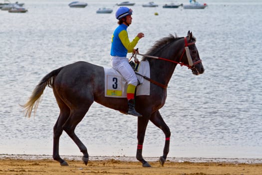 SANLUCAR DE BARRAMEDA, CADIZ, SPAIN - AUGUST 11: Unidentified rider at the start of race horses on Sanlucar de Barrameda beach on August 11, 2011 in Sanlucar de Barrameda, Cadiz, Spain.