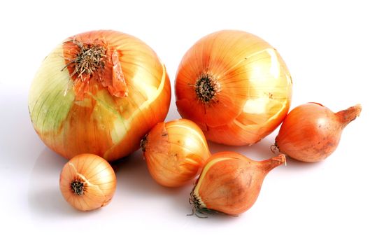 Image series of fresh vegetables on white background - onion