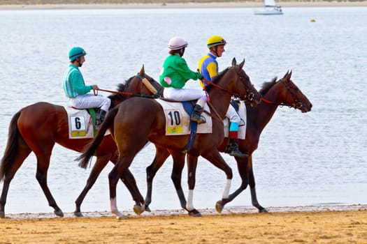 SANLUCAR DE BARRAMEDA, CADIZ, SPAIN - AUGUST 11: Unidentified rider at the start of race horses on Sanlucar de Barrameda beach on August 11, 2011 in Sanlucar de Barrameda, Cadiz, Spain.