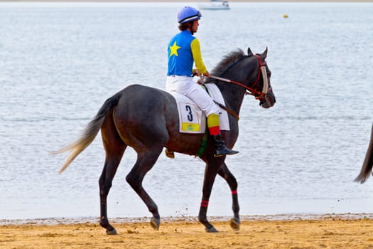 SANLUCAR DE BARRAMEDA, CADIZ, SPAIN - AUGUST 11: Unidentified rider at the start of race horses on Sanlucar de Barrameda beach on August 11, 2011 in Sanlucar de Barrameda, Cadiz, Spain.