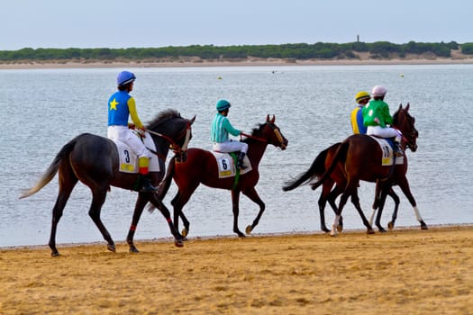 SANLUCAR DE BARRAMEDA, CADIZ, SPAIN - AUGUST 11: Unidentified rider at the start of race horses on Sanlucar de Barrameda beach on August 11, 2011 in Sanlucar de Barrameda, Cadiz, Spain.