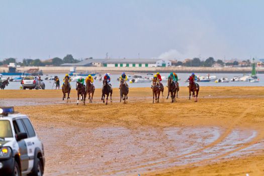 SANLUCAR DE BARRAMEDA, CADIZ, SPAIN - AUGUST 11: Unidentified riders race horses on Sanlucar de Barrameda beach on August 11, 2011 in Sanlucar de Barrameda, Cadiz, Spain.