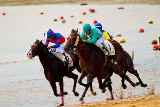 SANLUCAR DE BARRAMEDA, CADIZ, SPAIN - AUGUST 11: Unidentified riders race horses on Sanlucar de Barrameda beach on August 11, 2011 in Sanlucar de Barrameda, Cadiz, Spain.