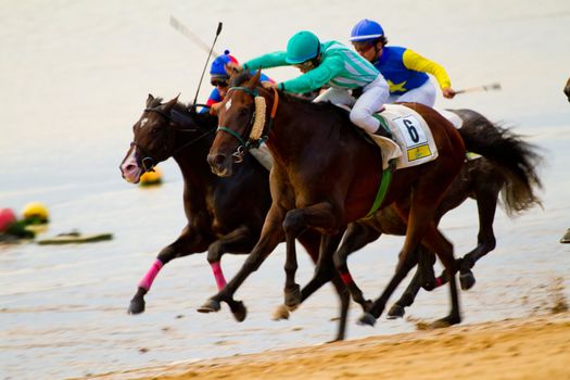 SANLUCAR DE BARRAMEDA, CADIZ, SPAIN - AUGUST 11: Unidentified riders race horses on Sanlucar de Barrameda beach on August 11, 2011 in Sanlucar de Barrameda, Cadiz, Spain.