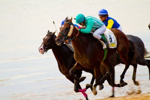 SANLUCAR DE BARRAMEDA, CADIZ, SPAIN - AUGUST 11: Unidentified riders race horses on Sanlucar de Barrameda beach on August 11, 2011 in Sanlucar de Barrameda, Cadiz, Spain.