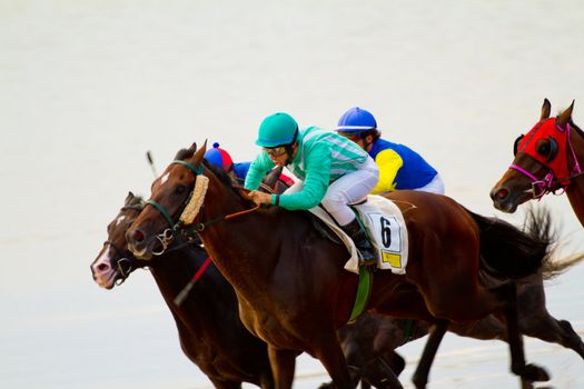 SANLUCAR DE BARRAMEDA, CADIZ, SPAIN - AUGUST 11: Unidentified riders race horses on Sanlucar de Barrameda beach on August 11, 2011 in Sanlucar de Barrameda, Cadiz, Spain.