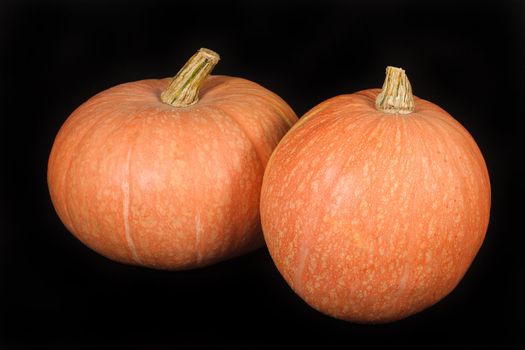 Halloweesn orange pumpkin, photo on the black background 