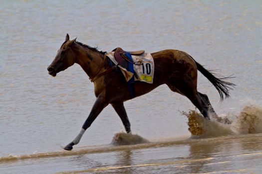 SANLUCAR DE BARRAMEDA, CADIZ, SPAIN - AUGUST 11: Unidentified riders race horses on Sanlucar de Barrameda beach on August 11, 2011 in Sanlucar de Barrameda, Cadiz, Spain.