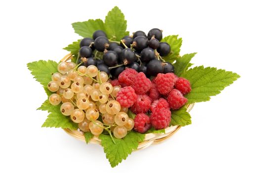 White and Black currant, red raspberry, currant, green leaves in a wicker plate isolated on a white background